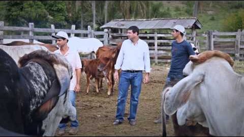 Três irmãos. Um único sonho