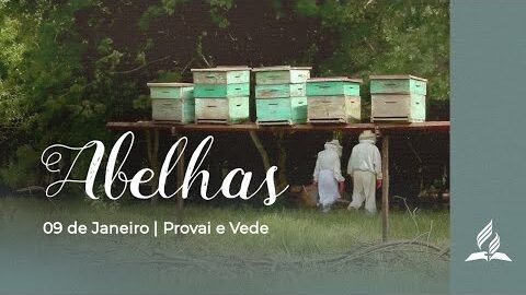 ABELHAS