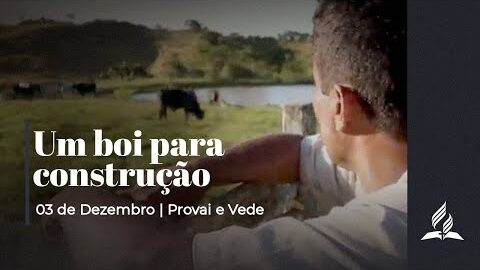 Um boi para construção