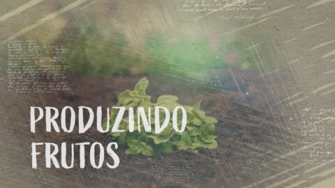 40. Produzindo Frutos
