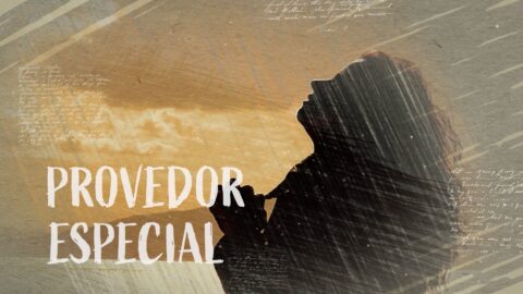 49. Provedor Especial