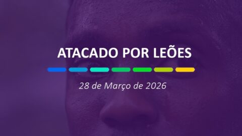 Atacado por leões | 28 de Março de 2026