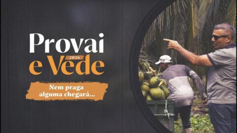 NEM PRAGA ALGUMA CHEGARÁ...
