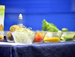 Feria Gastronómica Educacional incentivó alimentación saludable