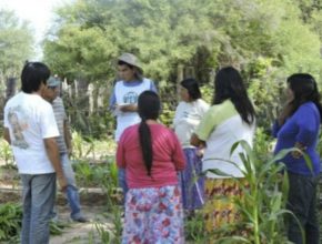 ADRA Argentina fortalece las capacidades de productores indígenas