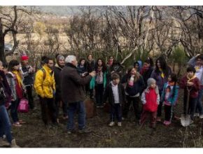 Niños inician reforestación en bosques patagónicos