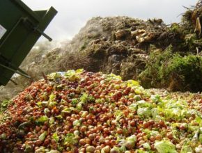 Sobra de comida