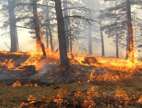 Incendio forestal en Portugal afecta a familias adventistas