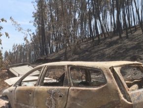 Sociedad civil europea ayuda a Portugal frente a incendios