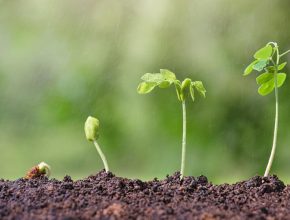 Por qué la ciencia entiende los orígenes de forma tan equivocada