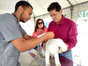 Feria de mascotas OYIM reunió a más de 100 personas