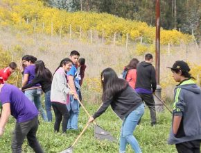 Cerca de dos mil jóvenes adventistas sirvieron a la comunidad en Chile