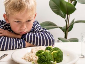 El apetito de los niños necesita ser educado, dice doctora