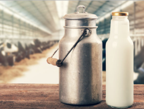 Nuevo estudio asocia el consumo de leche de origen animal con mayor riesgo de cáncer de mama