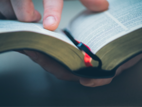 Una guía enfatiza la importancia del estudio e interpretación de la Biblia