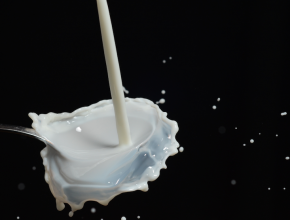 Investigación asocia leche de vaca con cáncer de mama