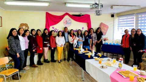 Docentes y asistentes de educación del Colegio Adventista de Angol celebran emocionante Proyecto VIVE en el sur de Chile