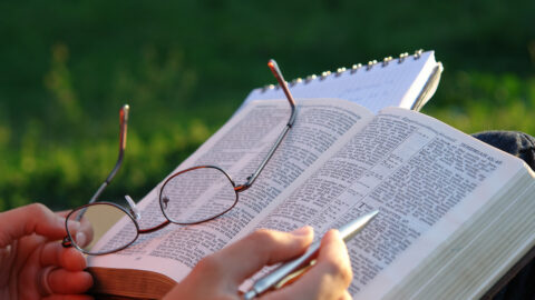 Los beneficios intelectuales del estudio de la Biblia