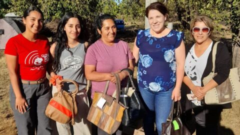 Iglesia Adventista de Teodoro Schmidt extiende “Carteras de Esperanza” a damnificados por incendios en el sur de Chile