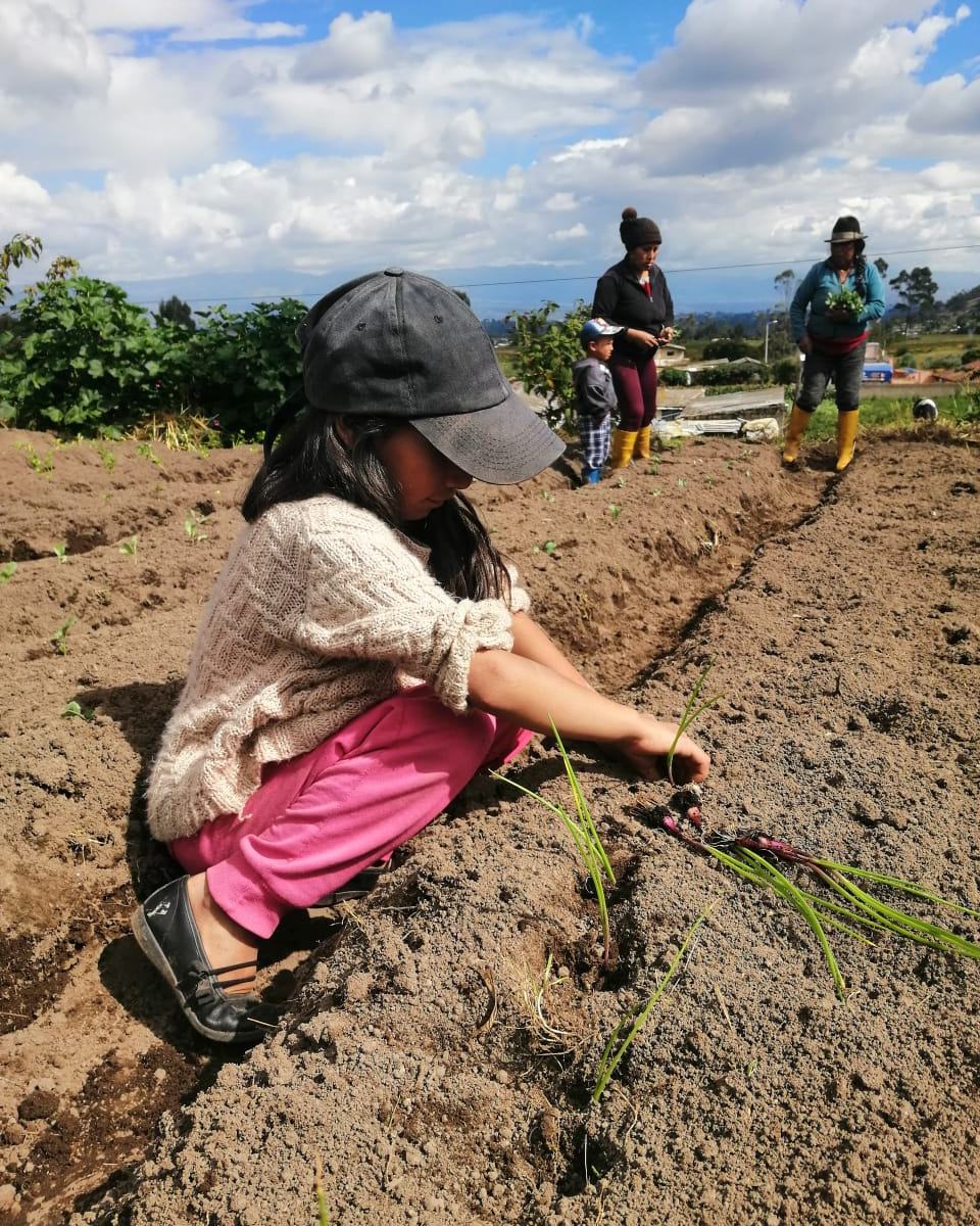 ADRA trabaja contra la desnutrición crónica infantil en Ecuador