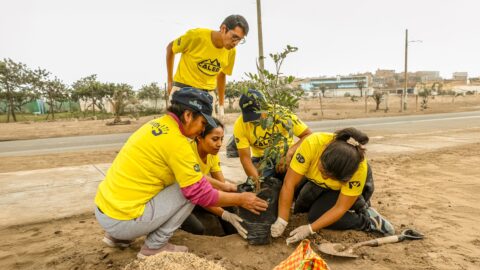 Adventistas comprometidos con el cuidado del medio ambiente limpian calles y siembran árboles