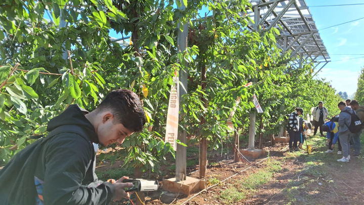 Es único en el mundo pues apunta además a disminuir la contaminación por micro plástico a las frutas que se comercializan.