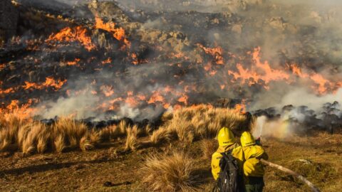 La Iglesia Adventista se moviliza para ayudar a las víctimas de los incendios en Córdoba