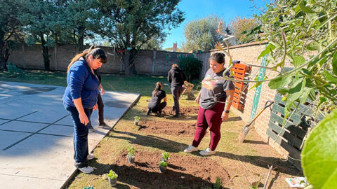 Estudiantes de Medicina promueven hábitos saludables con una huerta comunitaria