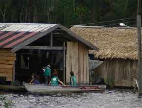 Programa de voluntariado estimula turismo social no Amazonas