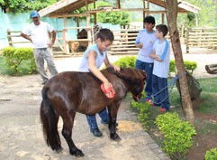 Uma escola animal - Em ambiente escolar, mini fazenda garante aprendizado para a vida