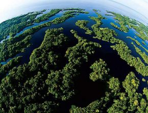 Dia Mundial do Meio Ambiente é comemorado