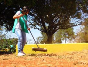 Ação em Brasília mobiliza 500 voluntários no Parque da Cidade