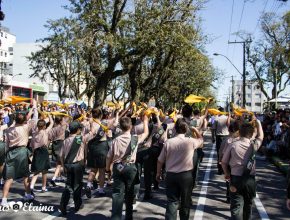 Desbravadores do Sul do Estado também participam do desfile de 7 de setembro
