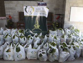 Ação Solidária Adventista oferece verduras a moradores de bairro em Curitiba