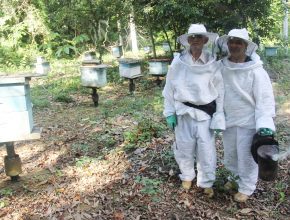 Casal de apicultores constrói oito igrejas com renda da profissão