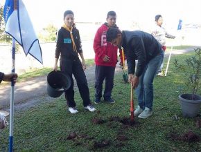 Desbravadores limpam e plantam árvores em praça de Curitiba