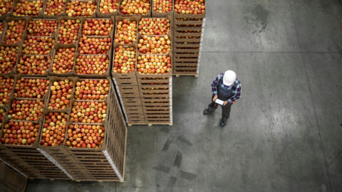 Companhias de alimentos