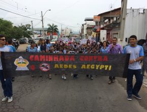 Estudantes fazem passeata contra zika vírus em Jequié