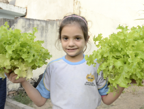 Projeto ensina alunos a verdadeira origem das verduras