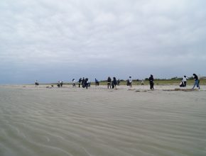 A limpeza foi feita em 1,8 quilômetros de praia em Pontal do Sul.
