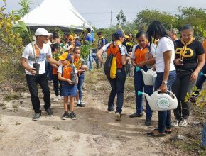 Voluntários se unem em replantio florestal na Paraíba