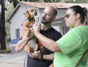 Pets e donos se confraternizam em Cãominhada no bairro da Mooca, SP