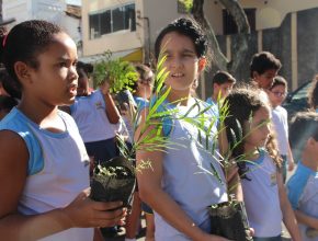 Alunos de Colégio Adventista plantam árvores em comemoração ao Dia do Meio Ambiente