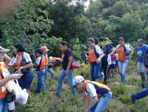 Projeto socioambiental leva voluntários a plantar 800 árvores na Paraíba