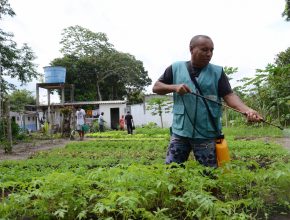 ADRA Brasil na Bahia atendeu quase 44 mil pessoas