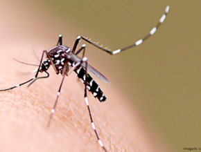 Campanha contra dengue é destaque em rádio do oeste gaúcho