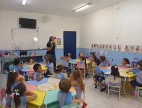 Alunos produzem repelente natural contra a dengue em MG