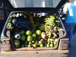 Mais de 70 famílias são beneficiadas com cestas de frutas