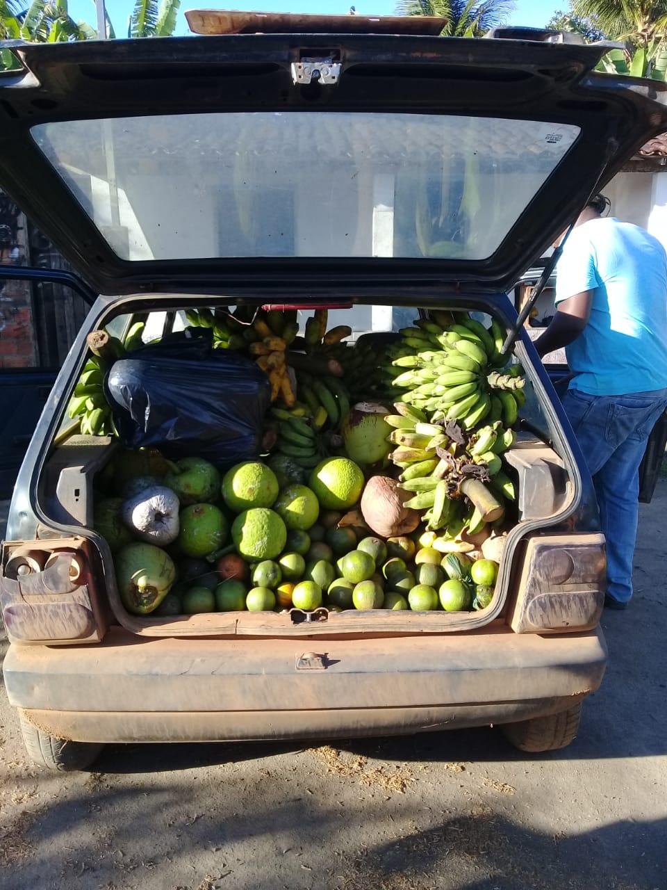 Mais de 70 famílias são beneficiadas com cestas de frutas