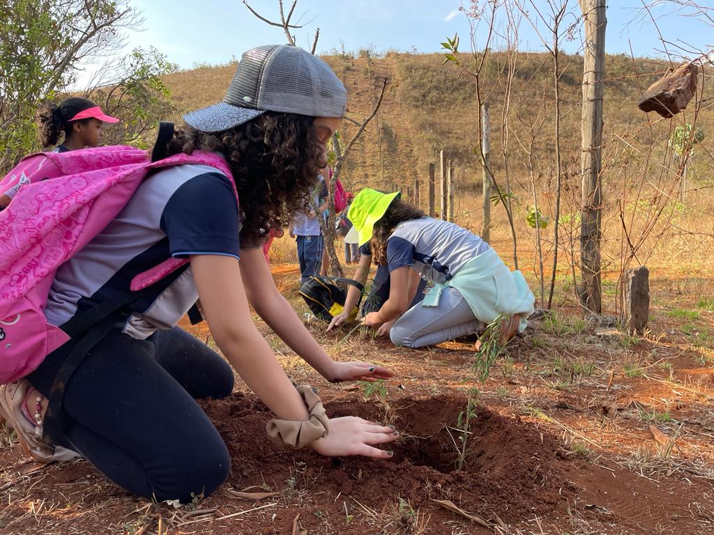 Alunos de Colégio Adventista de BH plantam árvores na Serra do Rola-Moça